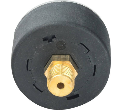 Манометр аксиальный Watts F+R100 50 мм 1/4 0-10 бар 10008093