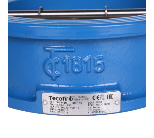 Клапан обратный Tecofi CB3448 Ду 150 Ру 16 двухстворчатый межфланцевый чугунный CB3448N-EP0150