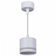 Подвесной светильник Reluce 53001 53001-0.9-001LD GX53 WT