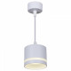 Подвесной светильник Reluce 53001 53001-0.9-001LD GX53 WT