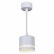 Подвесной светильник Reluce 53002 53002-0.9-001LD GX53 WT