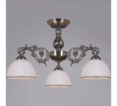 Люстра на штанге 74406-0.3-03