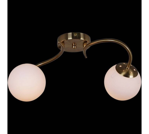 Светильник на штанге Reluce 81724 81724-0.3-02