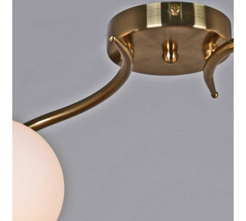 Светильник на штанге Reluce 81724 81724-0.3-02