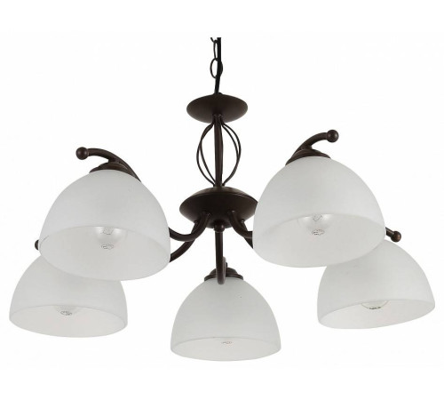 Подвесная люстра Rivoli Jackeline Б0054758