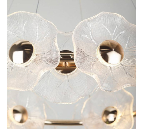 Подвесная люстра Rivoli Shannon Б0061947