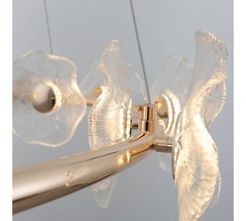 Подвесная люстра Rivoli Shannon Б0061947