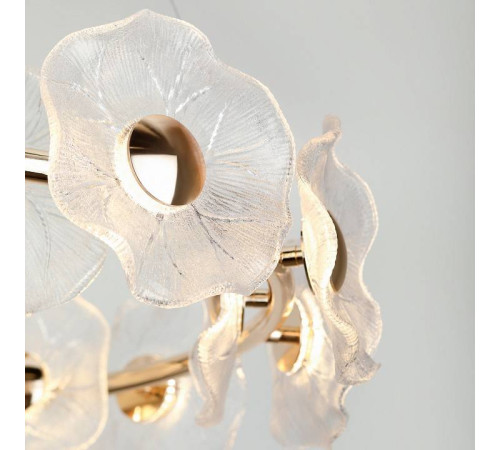 Подвесная люстра Rivoli Shannon Б0061947