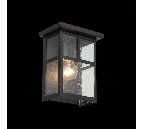 Накладной светильник ST-Luce Glazgo SL079.401.01