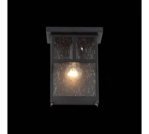 Накладной светильник ST-Luce Glazgo SL079.401.01