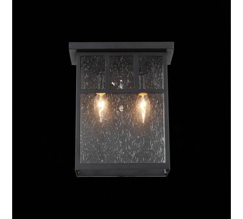 Накладной светильник ST-Luce Glazgo SL079.401.02