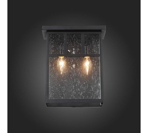 Накладной светильник ST-Luce Glazgo SL079.401.02