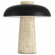 Настольная лампа декоративная ST Luce Earthy SL1194.424.01