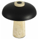 Настольная лампа декоративная ST Luce Earthy SL1194.424.01