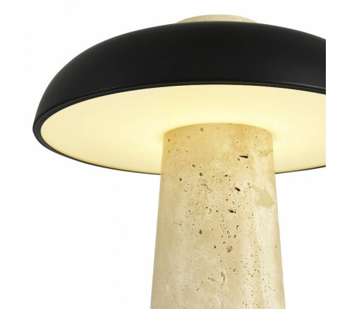 Настольная лампа декоративная ST Luce Earthy SL1194.424.01