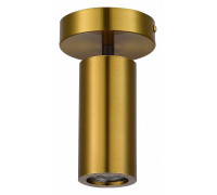 Светильник на штанге ST-Luce Talia SL1215.402.01