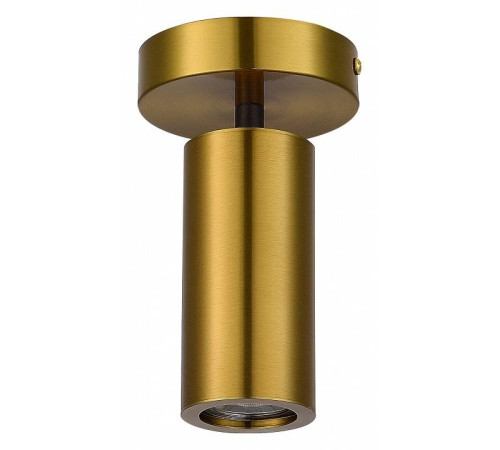Светильник на штанге ST-Luce Talia SL1215.402.01