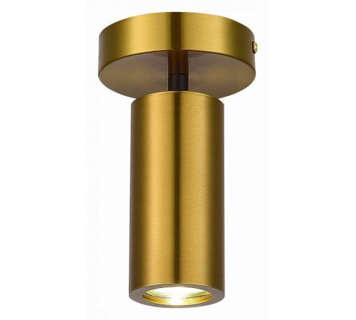 Светильник на штанге ST-Luce Talia SL1215.402.01