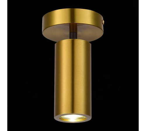 Светильник на штанге ST-Luce Talia SL1215.402.01