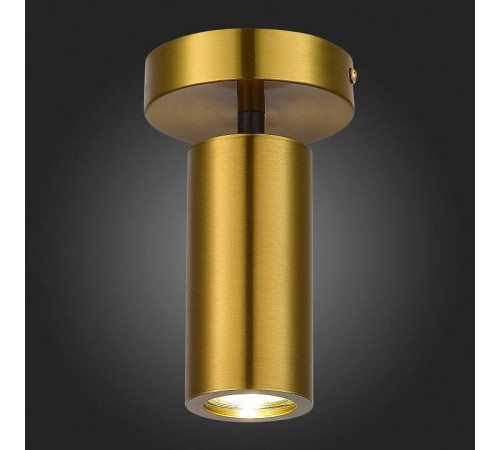 Светильник на штанге ST-Luce Talia SL1215.402.01
