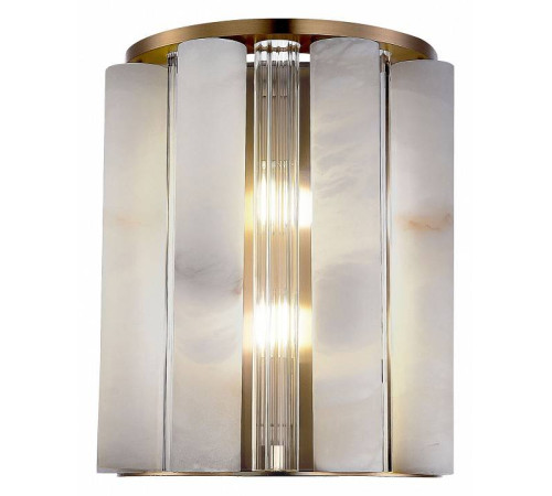 Накладной светильник ST-Luce Delight SL1516.301.02