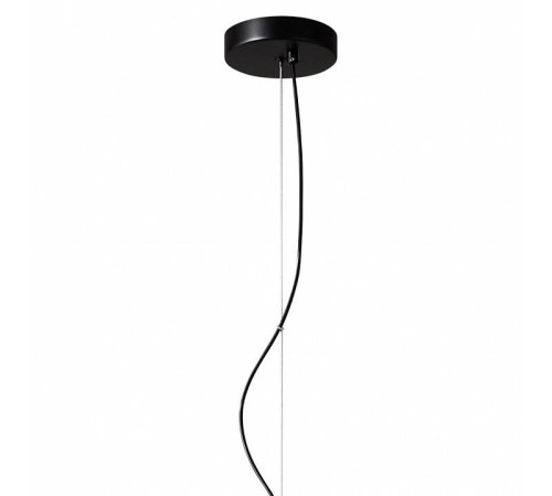 Подвесной светильник ST-Luce Milo SL2001.403.01