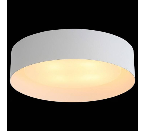 Накладной светильник ST-Luce Chio SL392.502.04