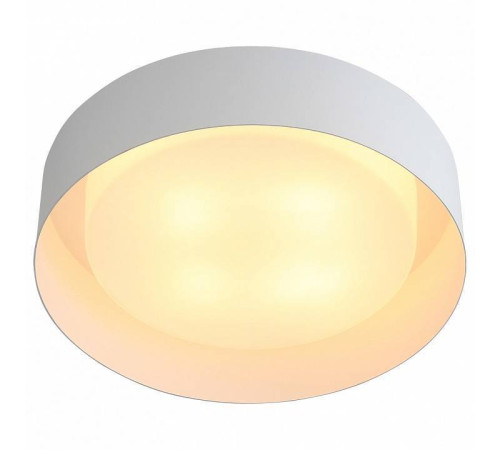Накладной светильник ST-Luce Chio SL392.502.04