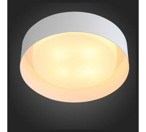 Накладной светильник ST-Luce Chio SL392.502.04