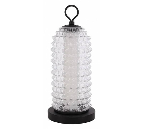 Настольная лампа декоративная ST-Luce SAGUARO SL6144.404.01