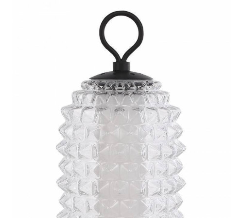 Настольная лампа декоративная ST-Luce SAGUARO SL6144.404.01