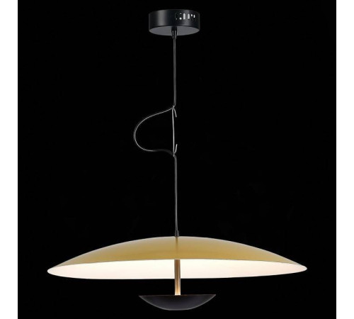 Подвесной светильник ST-Luce Armonico SL6502.213.01