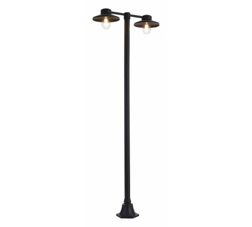 Уличный фонарный столб ST-Luce Basko SL9542.705.02