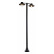 Уличный фонарный столб ST-Luce Basko SL9542.705.02