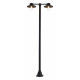 Уличный фонарный столб ST-Luce Basko SL9542.705.02