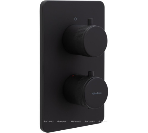 Термостат Allen Brau Priority V.1 Vernet Easy box черный матовый 5.31113-31