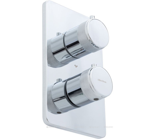 Термостат Allen Brau Priority V.3 Vernet Easy box хром 5.31314-00