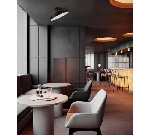 Светильник на штанге Sonex Mira Black 7656/48L