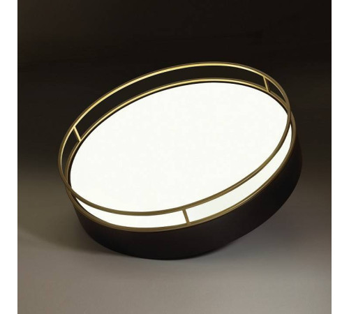 Накладной светильник Sonex Lofty 7723/100L