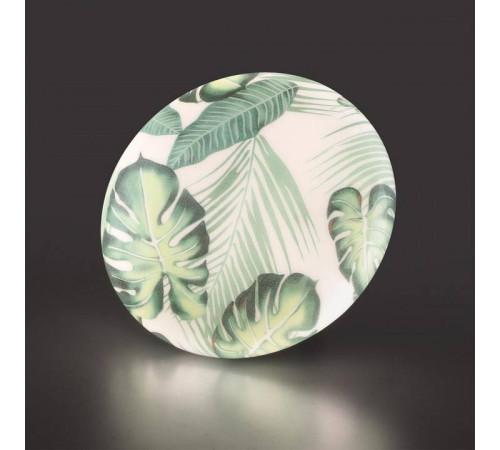 Накладной светильник Sonex Flori 7748/CL