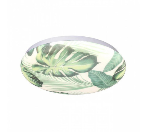 Накладной светильник Sonex Flori 7748/CL