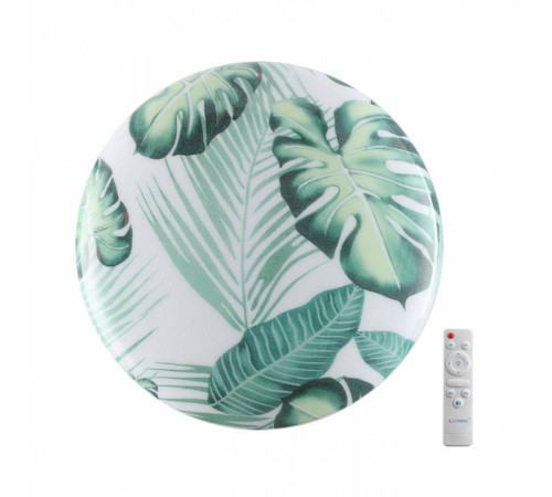 Накладной светильник Sonex Flori 7748/DL