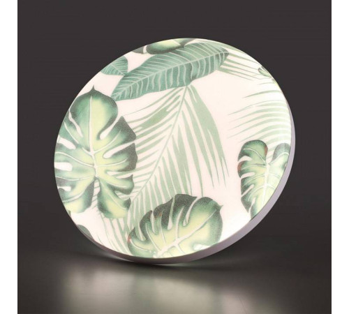 Накладной светильник Sonex Flori 7748/EL