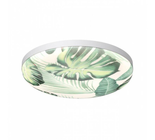 Накладной светильник Sonex Flori 7748/EL