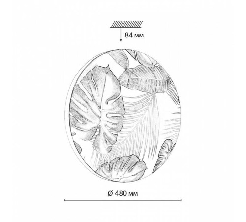 Накладной светильник Sonex Flori 7748/EL