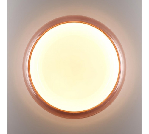 Накладной светильник Sonex PORTMAN 7778/ELN
