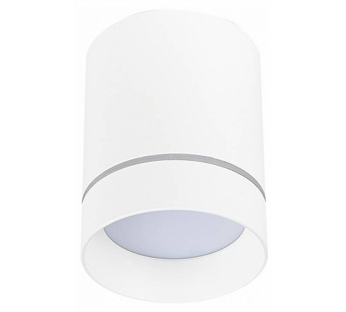 Накладной светильник ST-Luce ST115 ST115.542.07