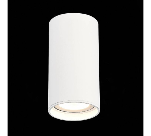 Накладной светильник ST-Luce ST157 ST157.532.15