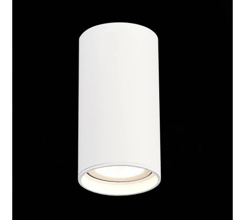 Накладной светильник ST-Luce ST157 ST157.542.15