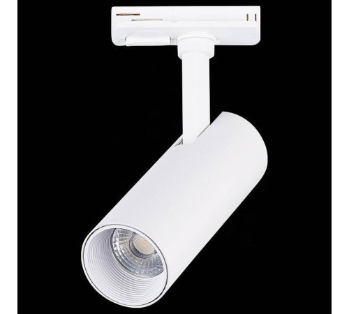 Светильник на штанге ST-Luce Mono ST350.536.10.36